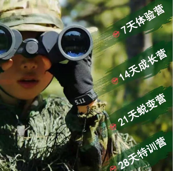 如何为篮球教练提供持续的专业辅导_1